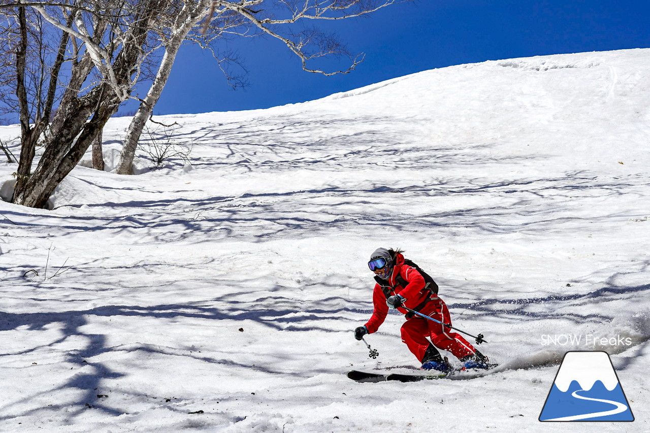 ニセコグラン・ヒラフ DYNASTAR SKI TEST RIDE DAYS Photo Session!!最高の天気に恵まれたニセコに、最高の仲間たちが集まりました☆